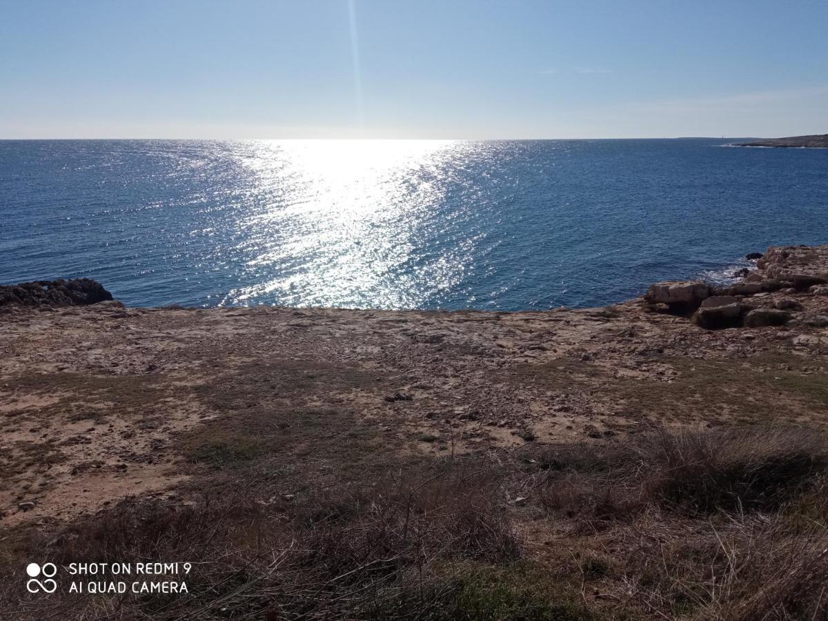 Mala Kuca Sa Velikim Grijanim Bazenom Antonio Villa Šišan Exteriör bild